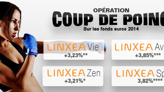 LinXea : rendements 2014 des fonds euros, de 3% à 3.85% !