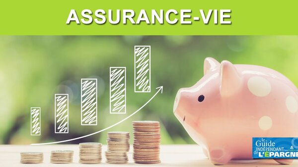 Assurance Vie : la collecte nette de nouveau positive en décembre 2020, une première depuis la crise sanitaire