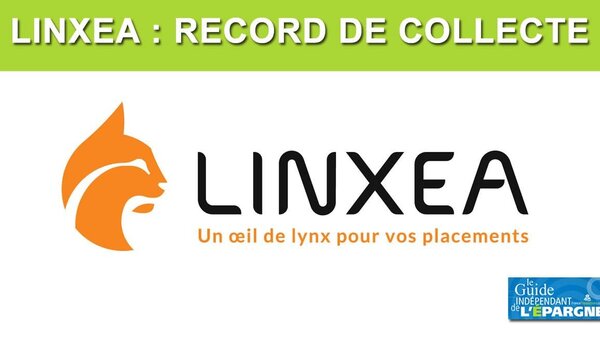 Assurance vie : Linxea enregistre une collecte record sur les fonds euros en 2025