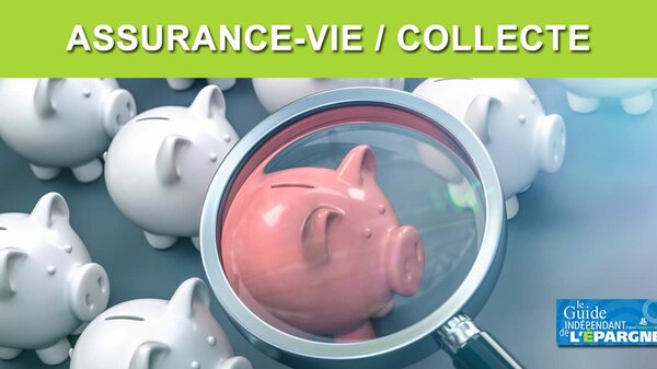 Assurance-vie : plus de 11 milliards d'euros versés en mai, avec un record historique de collecte sur les unités de compte
