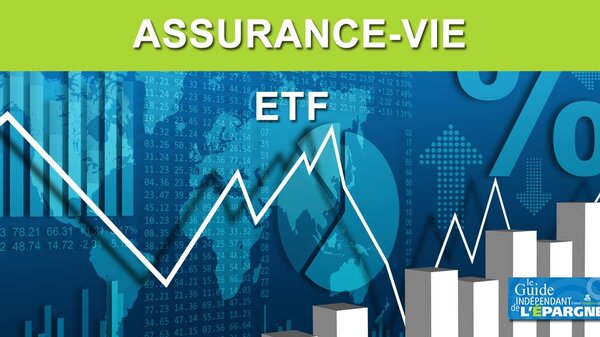 Assurance vie : quels sont les 10 ETF les plus souscrits par les épargnants ?