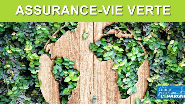 Mettez du vert dans votre assurance-vie : des fonds ISR ne suffisent pas pour bien faire