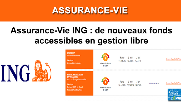 Assurance-Vie ING : le contrat ING Direct Vie propose désormais davantage de choix en unités de compte