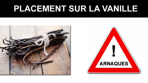 Investissement sur la vanille : un placement qui peut vous laisser un goût bien amer