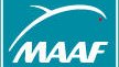 MAAF WINALTO - Fonds en euros