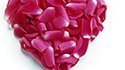 Le grand cri d'amour des épargnants pour l'assurance-vie !