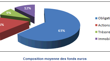 Fonds euros : composition des fonds euros