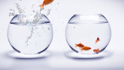 Assurance-Vie / Fonds euros classiques : le siphonnage des plus-values latentes par les fonds eurocroissance va perdurer 3 années de plus