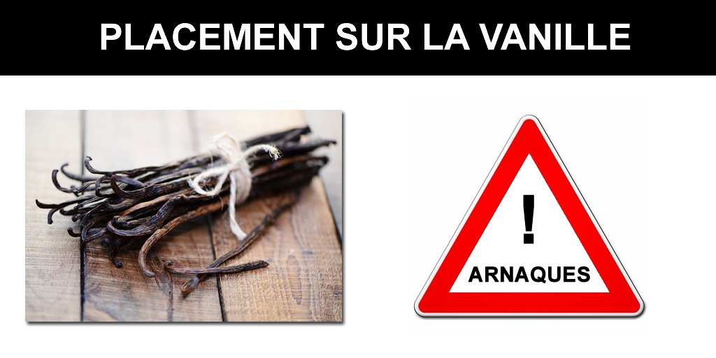 Investissement sur la vanille : un placement qui peut vous laisser un goût bien amer Investissement sur la vanille : un placement qui peut vous laisser un goût bien amer
