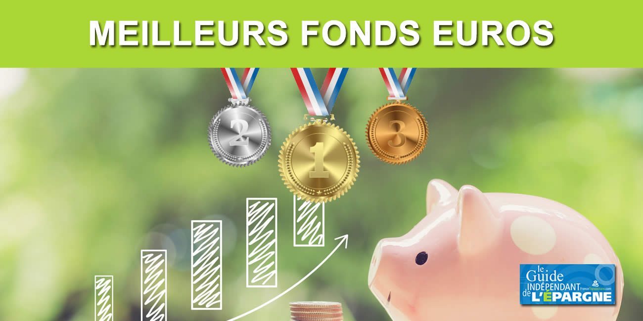 Fonds euros : les assureurs sommés de puiser dans leurs réserves au titre de l'année 2023 Fonds euros : les assureurs sommés de puiser dans leurs réserves au titre de l'année 2023
