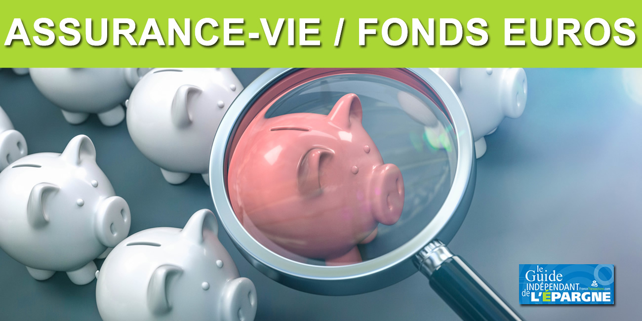 Assurance-Vie MACIF, taux fonds euros 2024 publié en 2025 #Taux2024 Assurance-Vie MACIF, taux fonds euros 2024 publié en 2025 #Taux2024