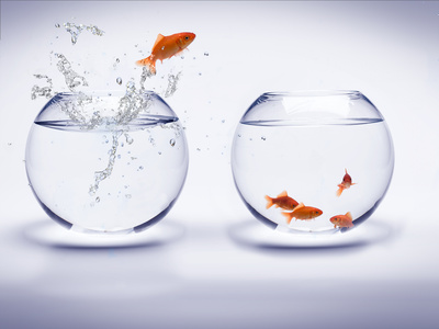 Assurance-Vie / Fonds euros classiques : le siphonnage des plus-values latentes par les fonds eurocroissance va perdurer 3 années de plus Assurance-Vie / Fonds euros classiques : le siphonnage des plus-values latentes par les fonds eurocroissance va perdurer 3 années de plus