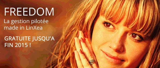 C'est Noël ! La gestion pilotée offerte pendant 1 an chez LinXea C'est Noël ! La gestion pilotée offerte pendant 1 an chez LinXea